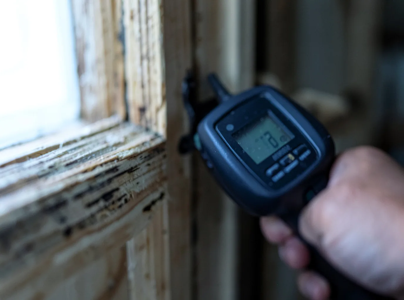 Moisture Inspection And Documentation in Harrison City, PA